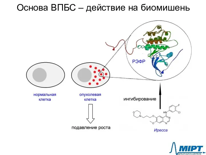 Основа ВПБС – действие на биомишень