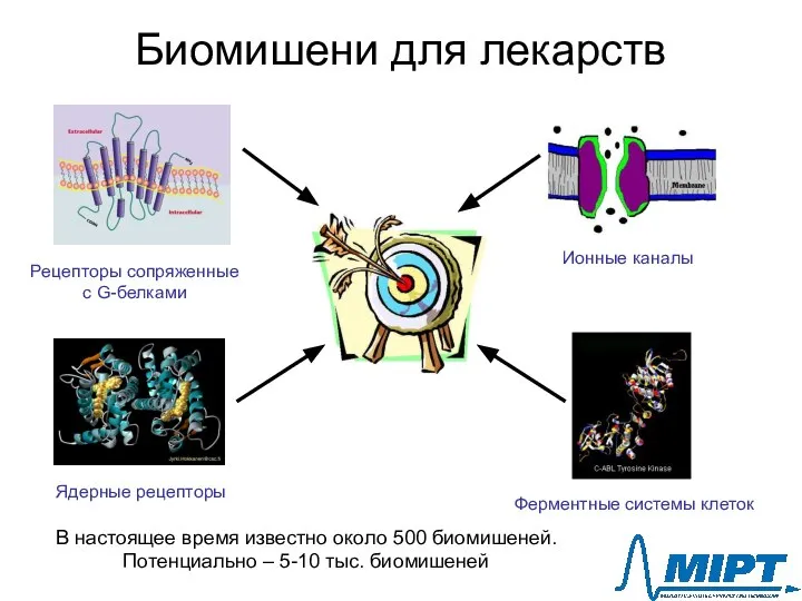 Биомишени для лекарств Рецепторы сопряженные с G-белками Ядерные рецепторы Ионные каналы