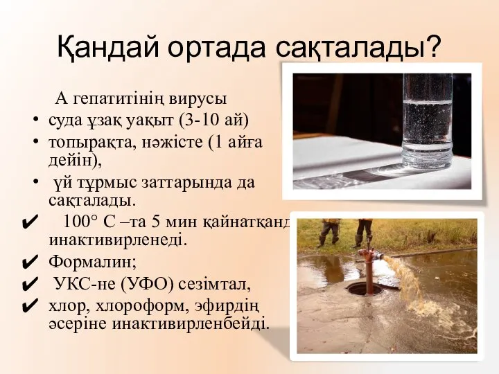 Қандай ортада сақталады? А гепатитінің вирусы суда ұзақ уақыт (3-10 ай)