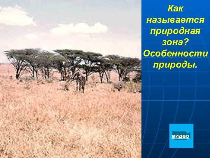 Как называется природная зона? Особенности природы. видео
