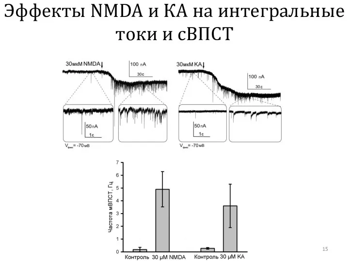 Эффекты NMDA и КА на интегральные токи и сВПСТ