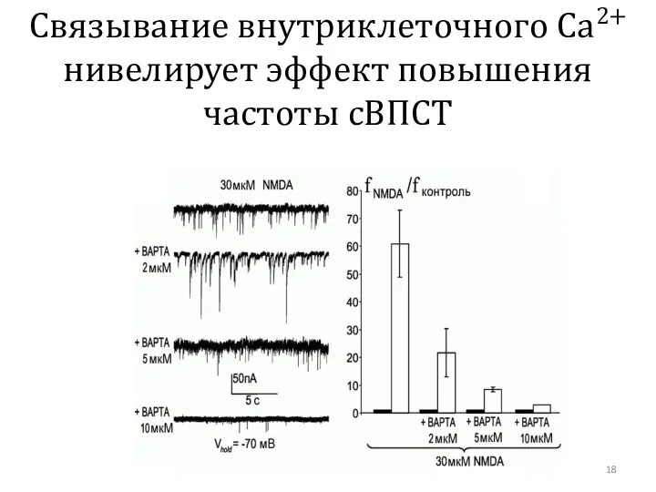 Связывание внутриклеточного Са2+ нивелирует эффект повышения частоты сВПСТ