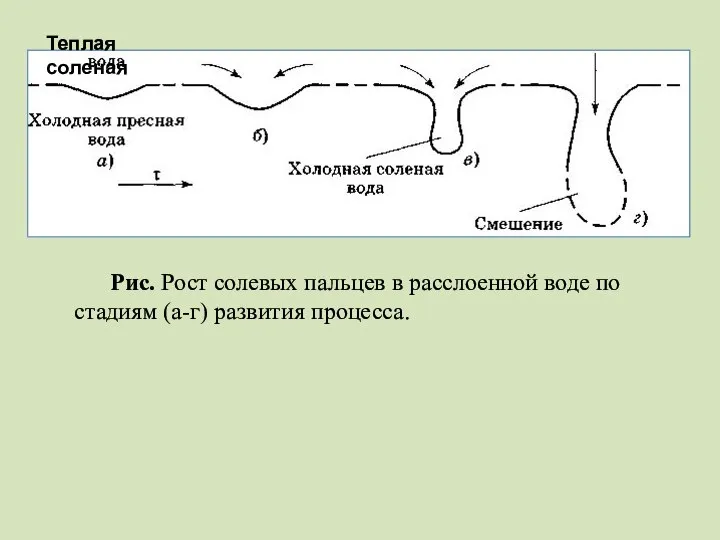 Рис. Рост солевых пальцев в расслоенной воде по стадиям (а-г) развития процесса. Теплая соленая