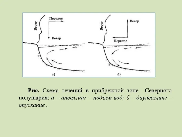 Рис. Схема течений в прибрежной зоне Северного полушария: а – апвеллинг