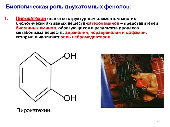 ОН ОН Биологическая роль двухатомных фенолов. Пирокатехин является структурным элементом многих