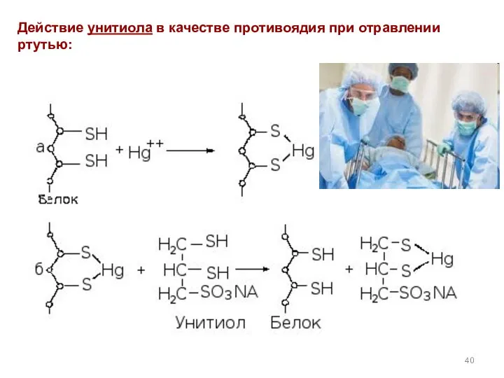 Действие унитиола в качестве противоядия при отравлении ртутью: