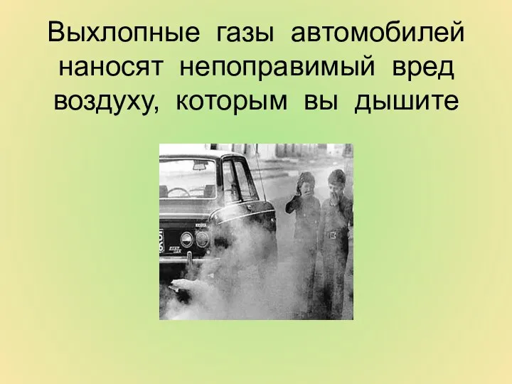 Выхлопные газы автомобилей наносят непоправимый вред воздуху, которым вы дышите