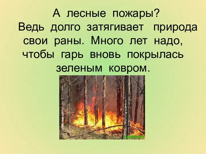 А лесные пожары? Ведь долго затягивает природа свои раны. Много лет