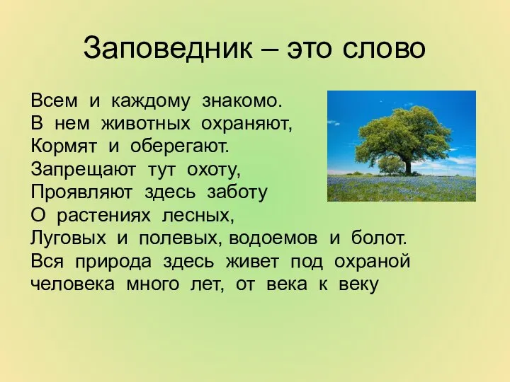 Заповедник – это слово Всем и каждому знакомо. В нем животных