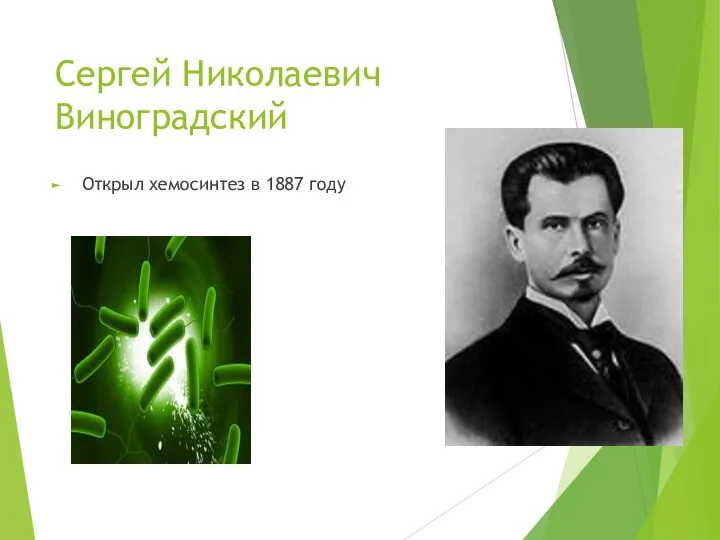 Сергей Николаевич Виноградский Открыл хемосинтез в 1887 году