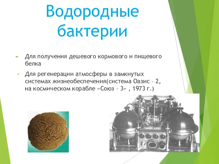 Водородные бактерии Для получения дешевого кормового и пищевого белка Для регенерации