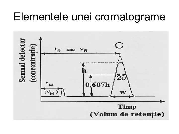 Elementele unei cromatograme