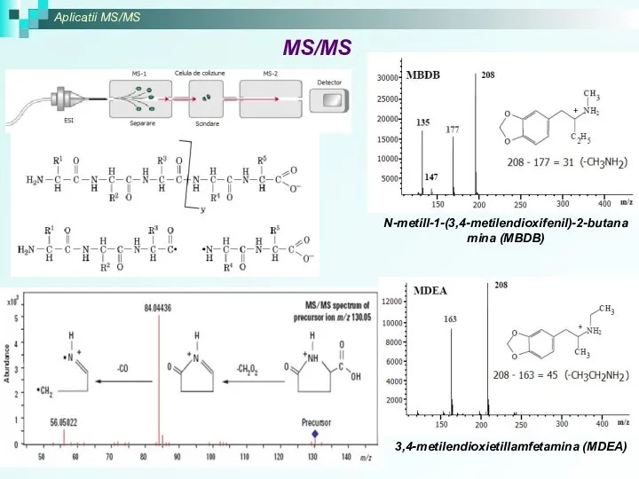 Aplicatii MS/MS MS/MS N-metill-1-(3,4-metilendioxifenil)-2-butanamina (MBDB) 3,4-metilendioxietillamfetamina (MDEA)