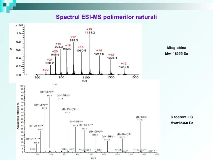 Spectrul ESI-MS polimerilor naturali Citocromul C Mw=12360 Da Mioglobina Mw=16955 Da