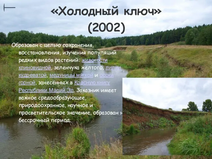 «Холодный ключ» (2002) Образован с целью сохранения, восстановления, изучения популяций редких