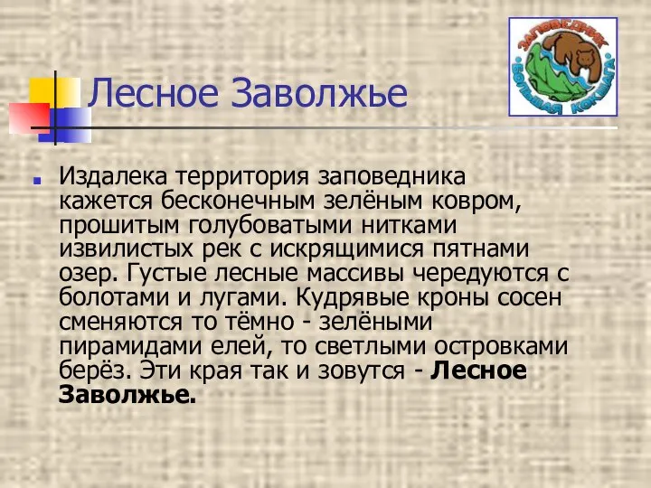 Лесное Заволжье Издалека территория заповедника кажется бесконечным зелёным ковром, прошитым голубоватыми