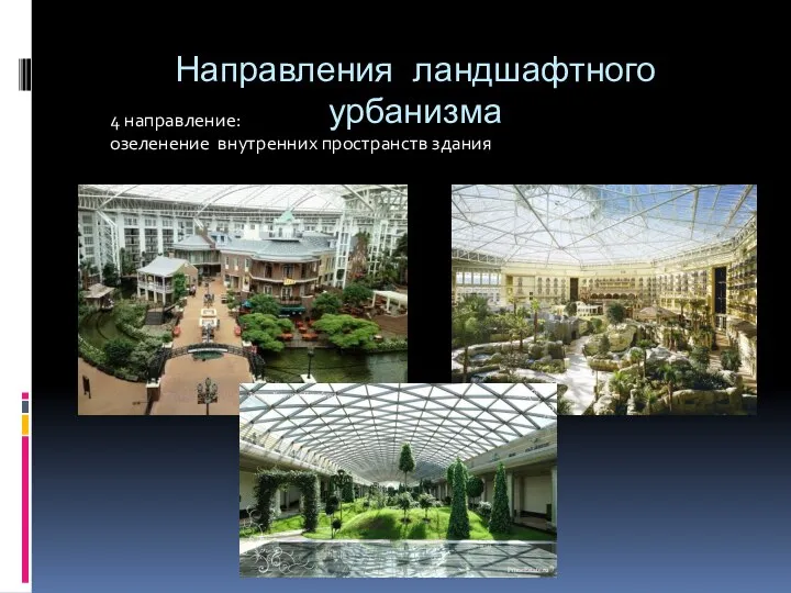 Направления ландшафтного урбанизма 4 направление: озеленение внутренних пространств здания