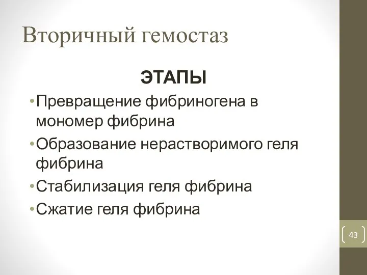 Вторичный гемостаз ЭТАПЫ Превращение фибриногена в мономер фибрина Образование нерастворимого геля