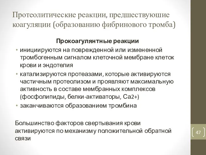 Протеолитические реакции, предшествуюшие коагуляции (образованию фибринового тромба) Прокоагулянтные реакции инициируются на