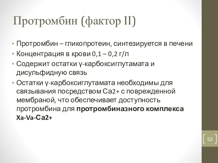 Протромбин (фактор II) Протромбин – гликопротеин, синтезируется в печени Концентрация в