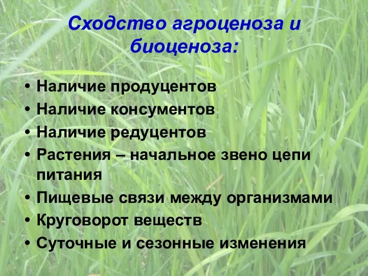 Сходство агроценоза и биоценоза: Наличие продуцентов Наличие консументов Наличие редуцентов Растения