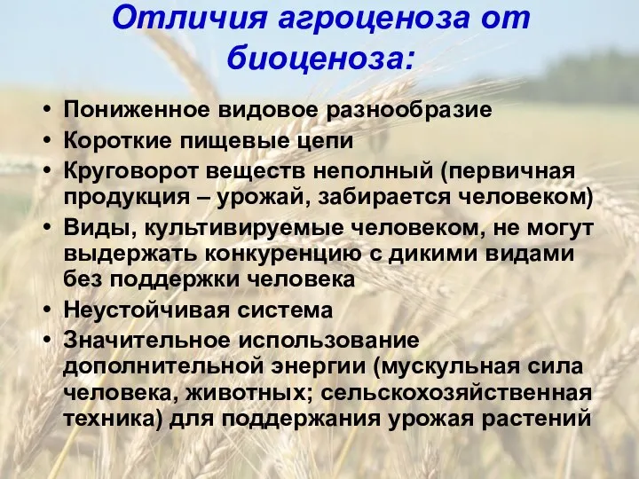 Отличия агроценоза от биоценоза: Пониженное видовое разнообразие Короткие пищевые цепи Круговорот