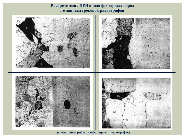 Распределение ПРН в шлифах горных пород по данным трековой радиографии (слева