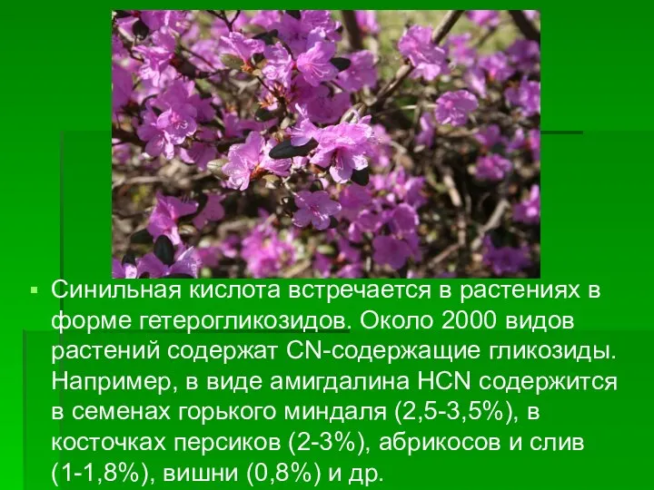 Синильная кислота встречается в растениях в форме гетерогликозидов. Около 2000 видов