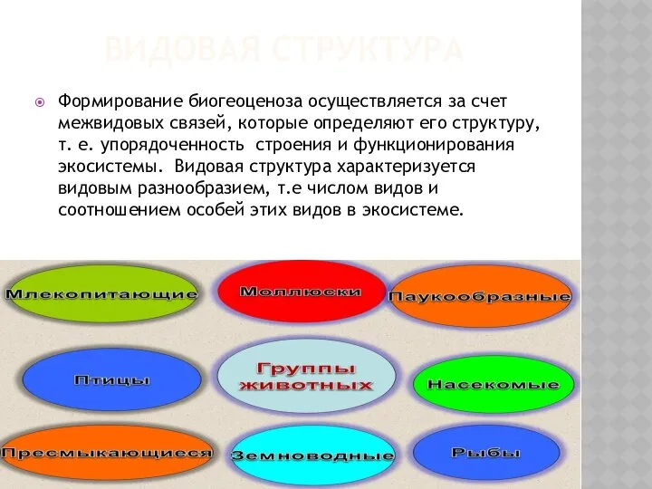 ВИДОВАЯ СТРУКТУРА Формирование биогеоценоза осуществляется за счет межвидовых связей, которые определяют