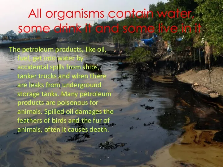 All organisms contain water, some drink it and some live in