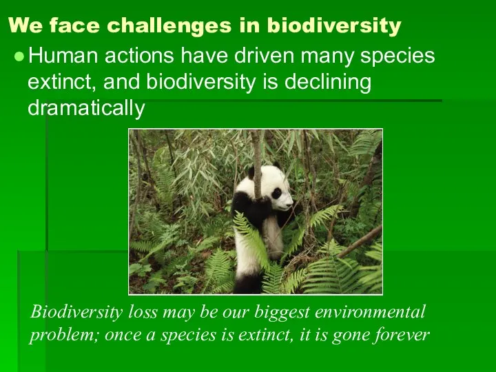 We face challenges in biodiversity Human actions have driven many species