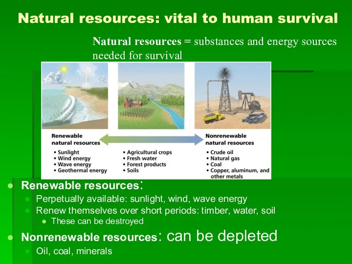 Natural resources: vital to human survival Renewable resources: Perpetually available: sunlight,