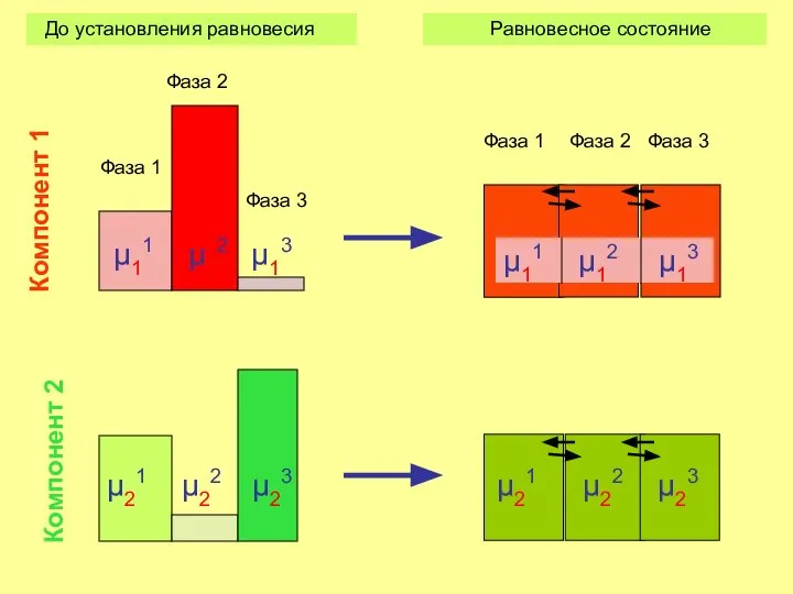 μ11 μ12 μ13 μ11 μ12 μ13 Фаза 1 Фаза 2 Фаза