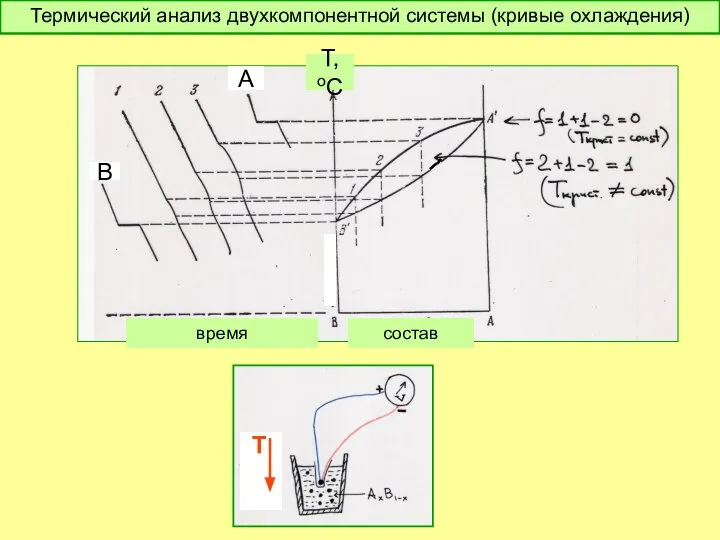 время В А состав Т,оС Термический анализ двухкомпонентной системы (кривые охлаждения) Т