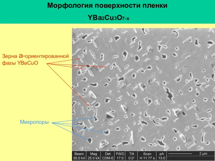 Морфология поверхности пленки YBа2Cu3O7-х Зерна а-ориентированной фазы YBaCuO Микропоры