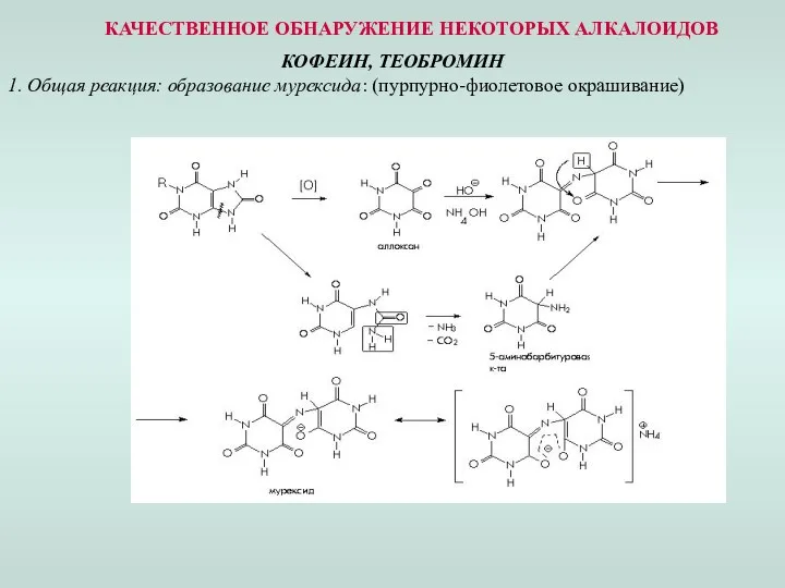 КАЧЕСТВЕННОЕ ОБНАРУЖЕНИЕ НЕКОТОРЫХ АЛКАЛОИДОВ КОФЕИН, ТЕОБРОМИН 1. Общая реакция: образование мурексида: (пурпурно-фиолетовое окрашивание)