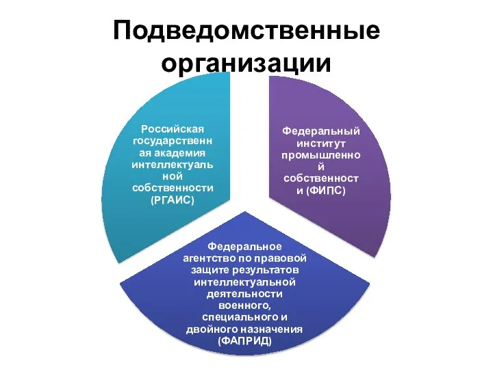 Подведомственные организации