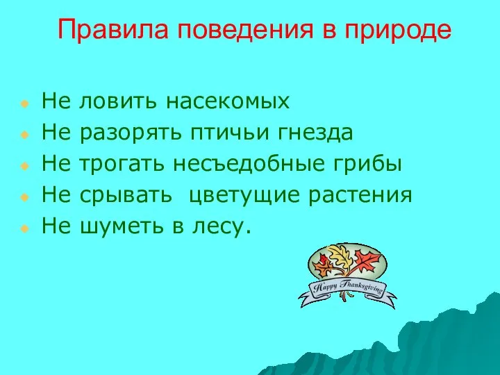 Правила поведения в природе Не ловить насекомых Не разорять птичьи гнезда