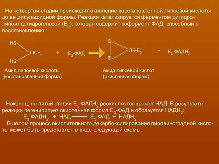 На четвертой стадии происходит окисление восстановленной липоевой кислоты до ее дисульфидной