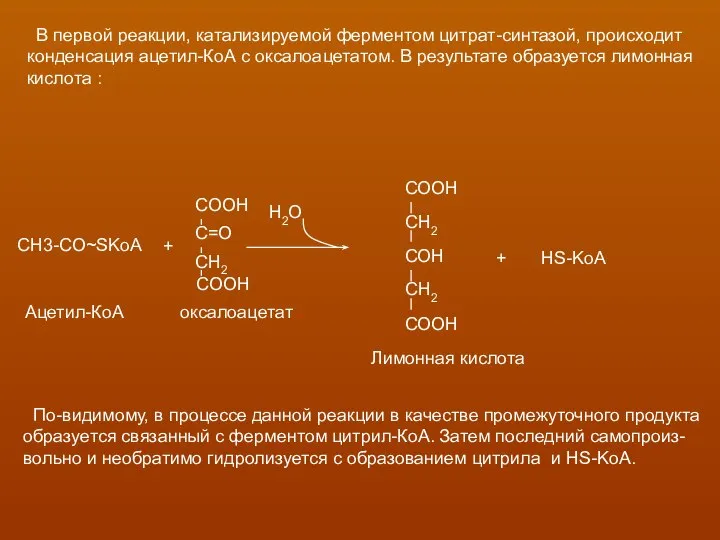 В первой реакции, катализируемой ферментом цитрат-синтазой, происходит конденсация ацетил-КоА с оксалоацетатом.