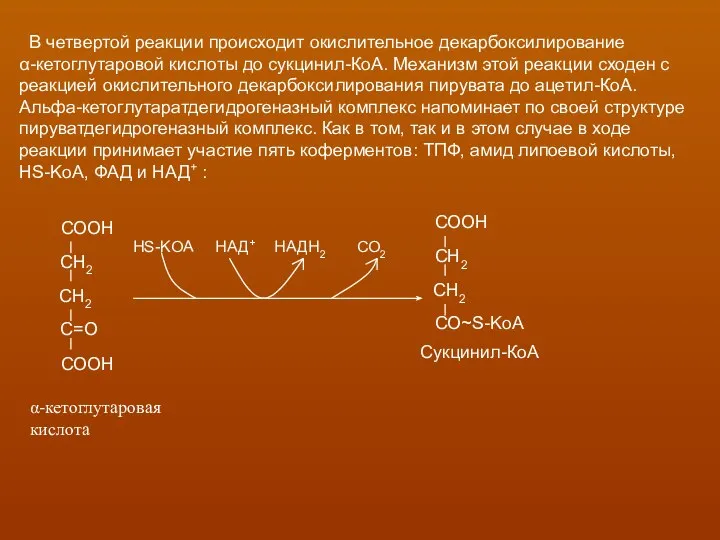 В четвертой реакции происходит окислительное декарбоксилирование α-кетоглутаровой кислоты до сукцинил-КоА. Механизм