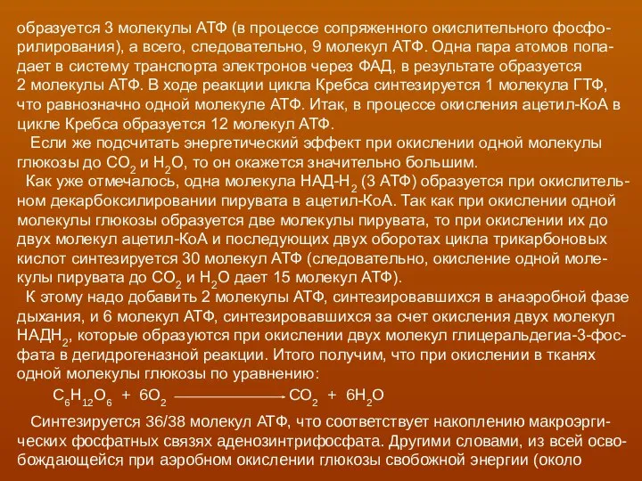 образуется 3 молекулы АТФ (в процессе сопряженного окислительного фосфо- рилирования), а