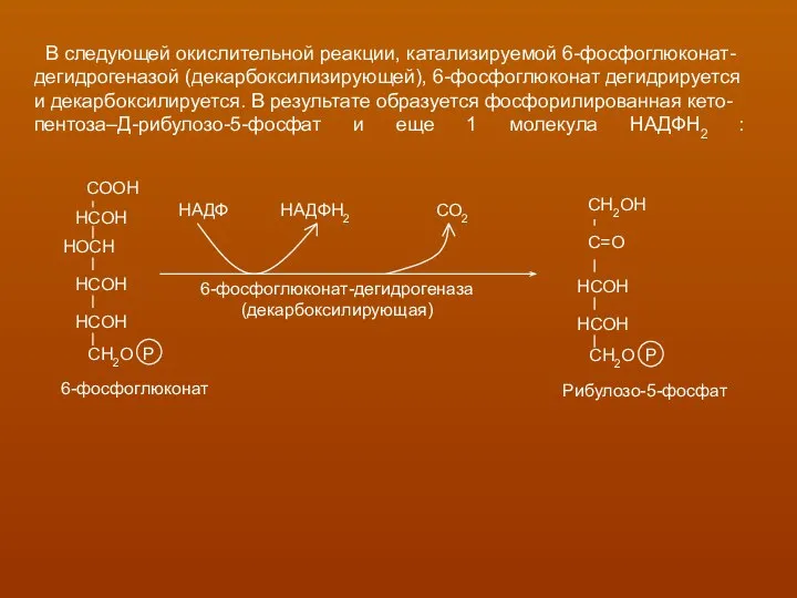 В следующей окислительной реакции, катализируемой 6-фосфоглюконат- дегидрогеназой (декарбоксилизирующей), 6-фосфоглюконат дегидрируется и