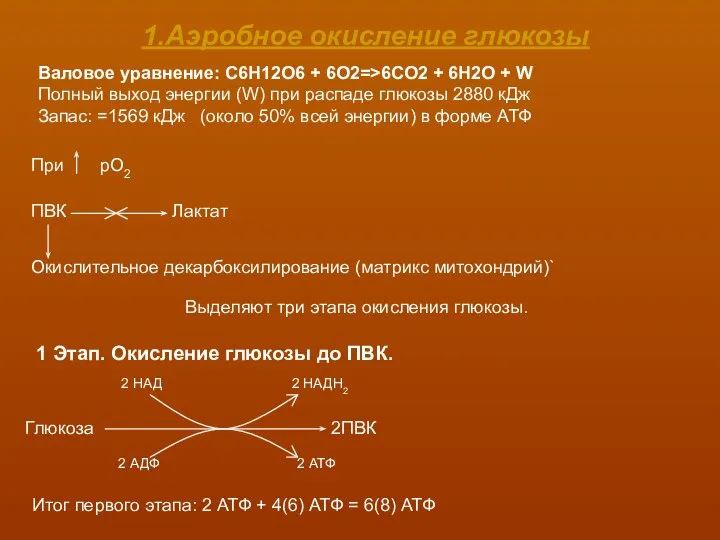 1.Аэробное окисление глюкозы Валовое уравнение: C6H12O6 + 6O2=>6CO2 + 6H2O +