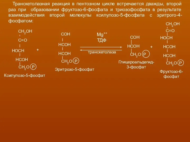 Транскетолазная реакция в пентозном цикле встречается дважды, второй раз при образовании