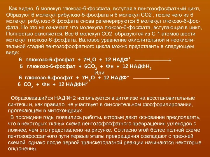 Как видно, 6 молекул глюкозо-6-фосфата, вступая в пентозофосфатный цикл, Образуют 6