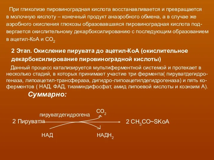При гликолизе пировиноградная кислота восстанавливается и превращается в молочную кислоту –