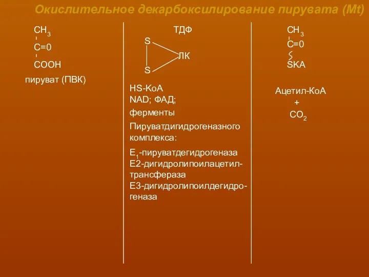 Окислительное декарбоксилирование пирувата (Mt) пируват (ПВК) ТДФ