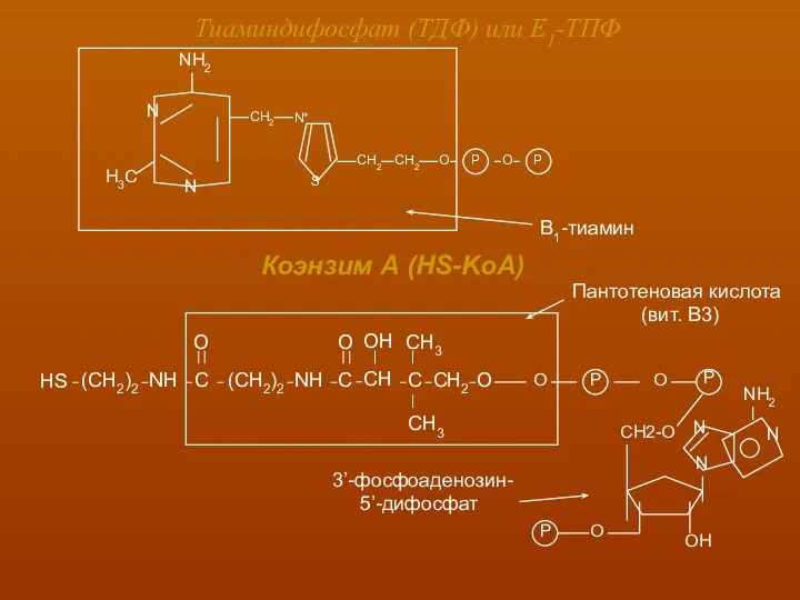Тиаминдифосфат (ТДФ) или Е1-ТПФ Коэнзим А (HS-KoA) Пантотеновая кислота (вит. В3) 3’-фосфоаденозин- 5’-дифосфат