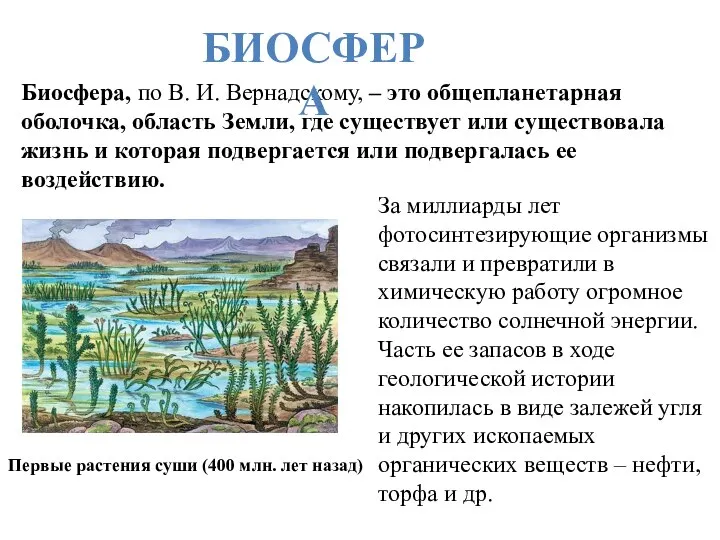 Биосфера, по В. И. Вернадскому, – это общепланетарная оболочка, область Земли,